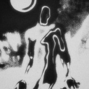 Meet your Posher, Ella